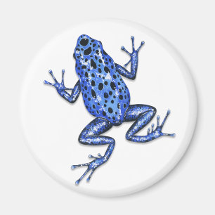 Giison Dart Frog Magnet