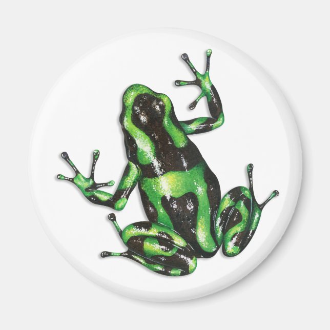 Giison Dart Frog Magnet (Vorne)