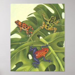 Giison Dart Frogs Poster