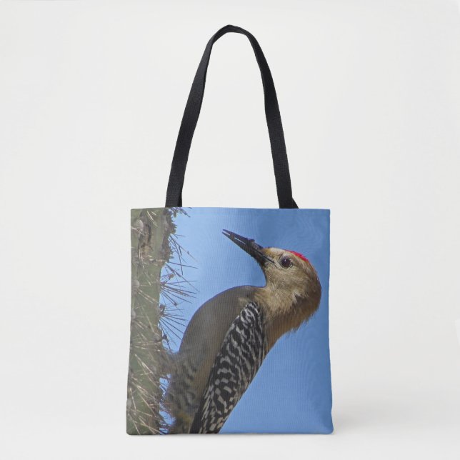 Gila Woodpecker Foto Südwestwüste Bird (Vorderseite)