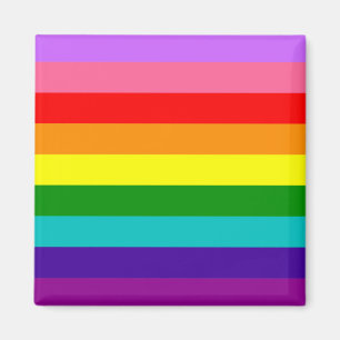 Gilbert Baker’s 9-Stripe Rainbow Flag  Magnet