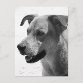 Gilbert Postkarte
