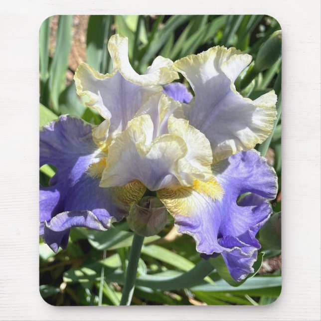 Gilded Iris Mouse Pad Mousepad (Vorne)