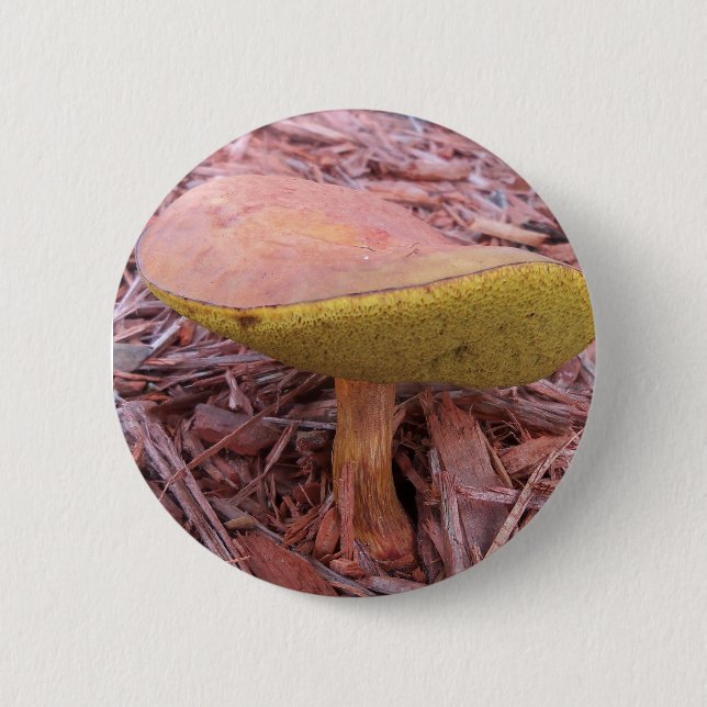 Gill Bolete Mushroom Button (Vorderseite)