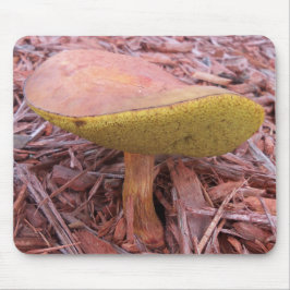 Gill Bolete Mushroom Mousepad