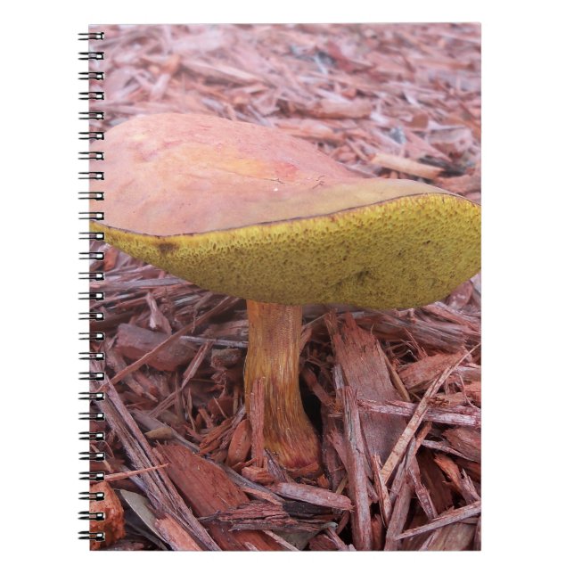 Gill Bolete Mushroom Notizblock (Vorderseite)