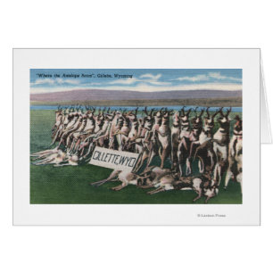 Gillette, WY - Wo das Antelope Roam