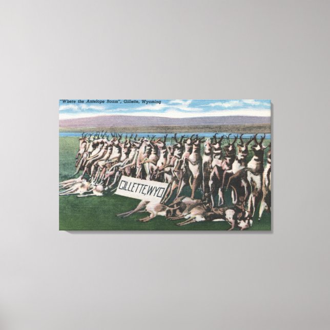 Gillette, WY - Wo das Antelope Roam Leinwanddruck (Vorderseite)