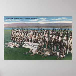 Gillette, WY - Wo das Antelope Roam Poster