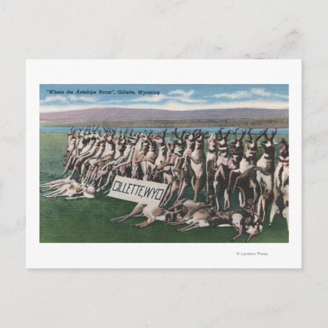 Gillette, WY - Wo das Antelope Roam Postkarte (Vorderseite)