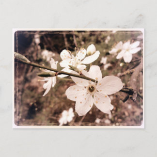 "Gilroy, California" Postcard von DarkPoet Postkarte