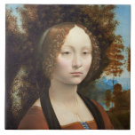 Ginevra de' Benci, C. 1474 - 78 Fliese<br><div class="desc">Ginevra de' Benci,  C. 1474 - 78 (Öl auf Platte) | durch Kunst-Standort Leonardo da Vincis |: National Gallery Bild-Sammlungs-Zahl Kunst-Washingtons DC| der italienischen Künstler-|: XOS741921</div>