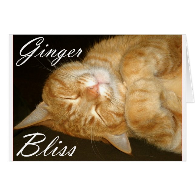 Ginger Bliss (Vorderseite (Horizontal))
