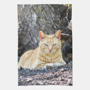 Ginger Boy Geschirrtuch