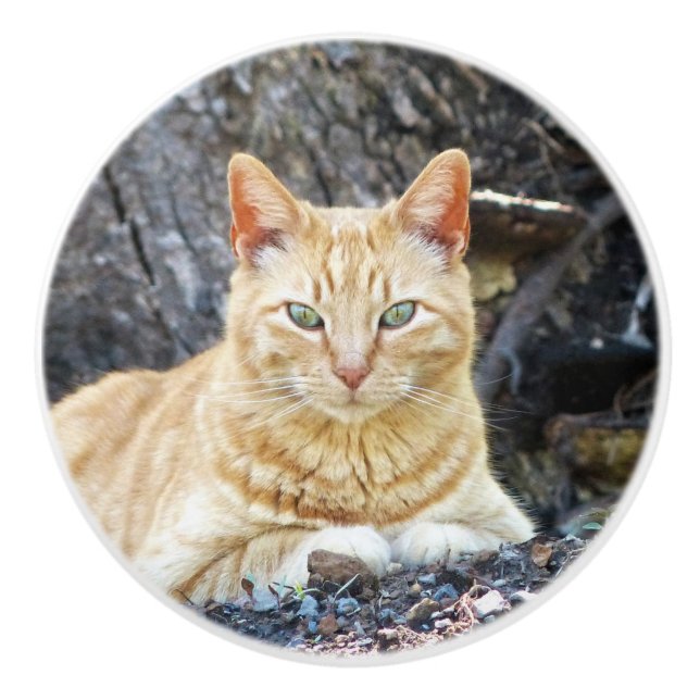 Ginger Boy Keramikknauf (Vorderseite)