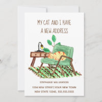 Ginger Cat Änderung der Adresse Bewegung Ankündigu