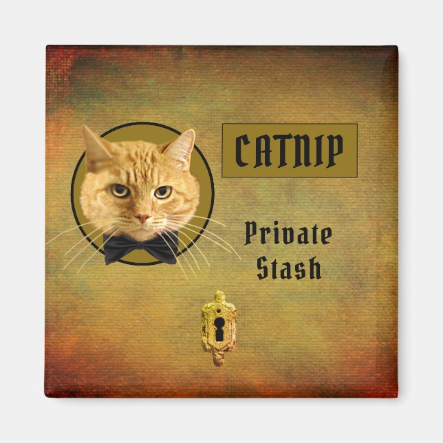Ginger Cat Customizable Catnip Magnet (Vorne)