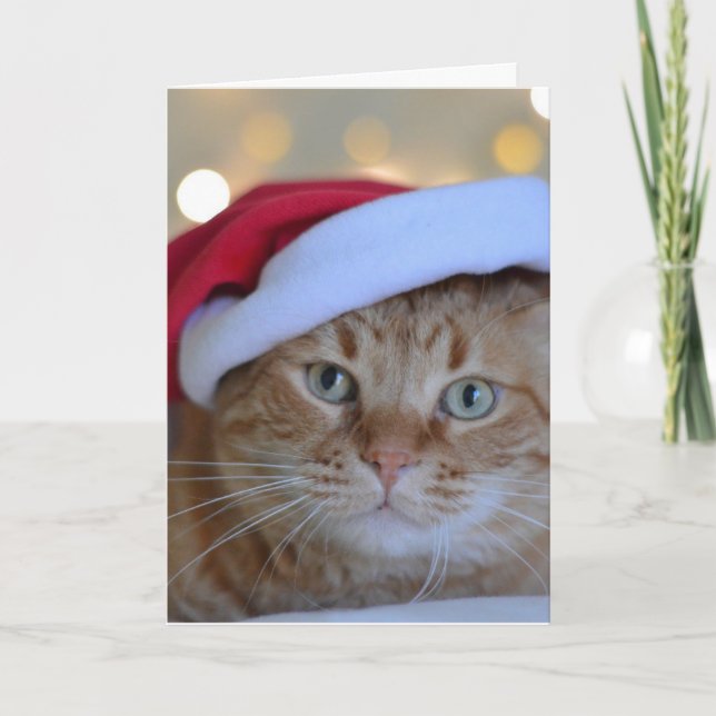 GINGER CAT cute CHRISTMAS CARD Feiertagskarte (Vorderseite)