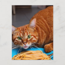 Ginger Cat Eating Spaghetti