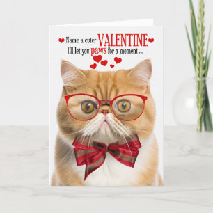 Ginger Cat Exotic Kurzhaar Spaß Valentinstag Feiertagskarte