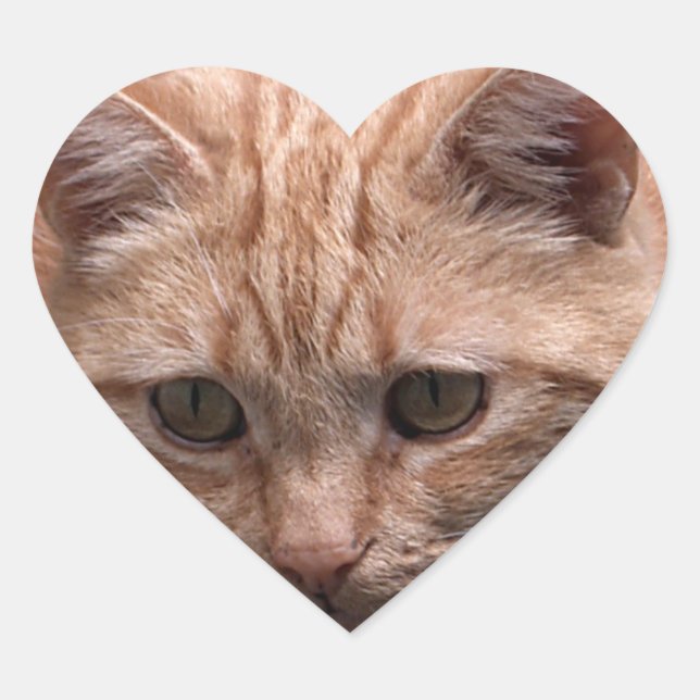 Ginger Cat Heart Shaped Sticker (Vorderseite)