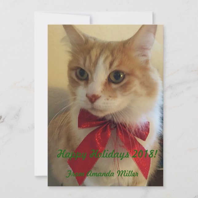 Ginger Cat mit Red Ribbon Weihnachten (Vorderseite)