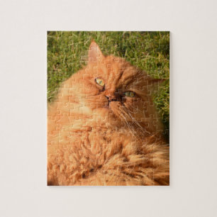 GINGER CAT PERSIAN JIGSAW Puzzle