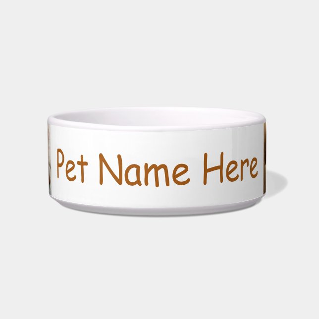 Ginger Cat Pet Bowl Napf (Vorderseite)