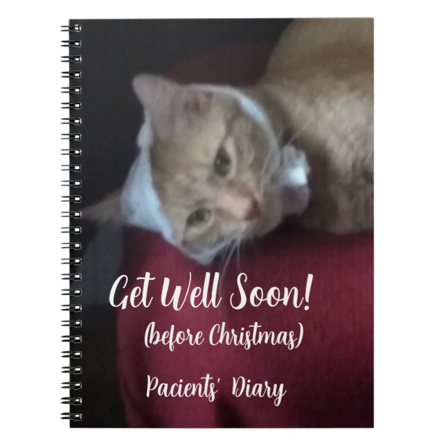 Ginger Cat Photo Get Well Soon , Spiral Notizblock (Vorderseite)