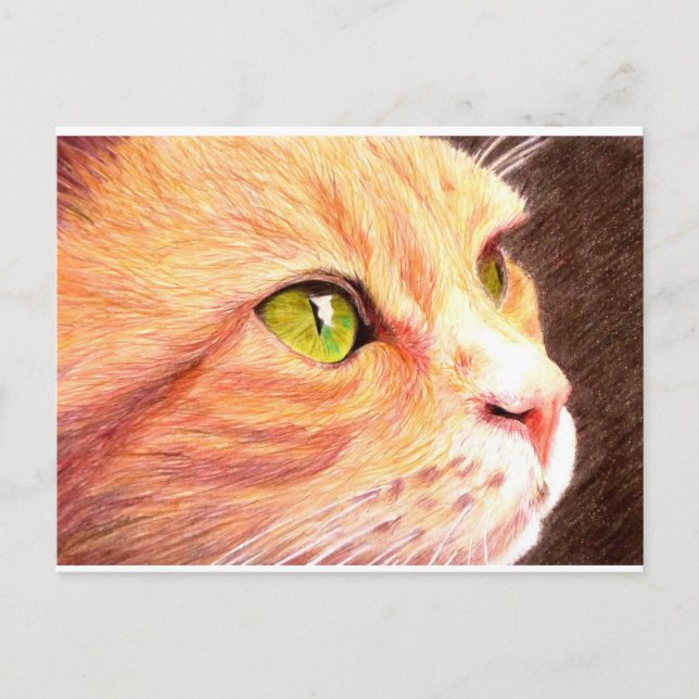 Ginger Cat Postcard Postkarte (Vorderseite)