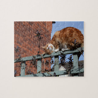Ginger Cat Puzzle