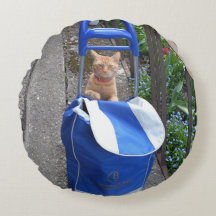 Ginger Cat Round Pillow