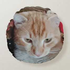 Ginger Cat Round Pillow Rundes Kissen