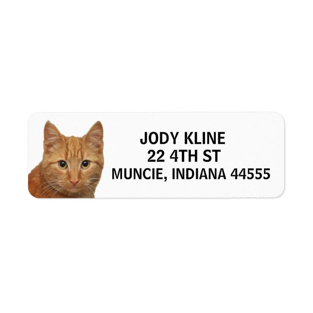 GINGER CAT-Rücksendeadresse (Vorne)