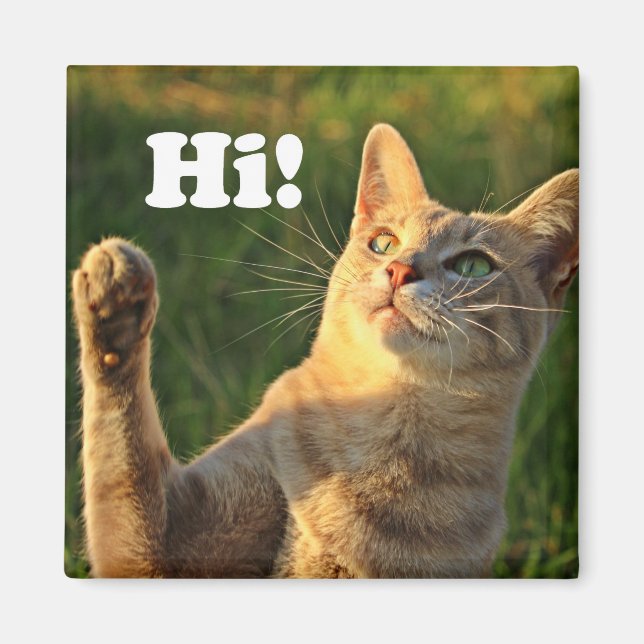 Ginger Cat Sprichwort Hi! Magnet (Vorne)