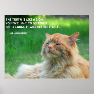 Ginger Cat St. Augustine Wahrheit Zitat Poster