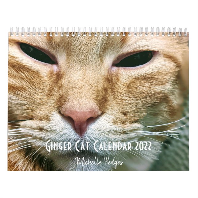 Ginger Cat Wall Calendar 2022 Kalender (Titelbild)