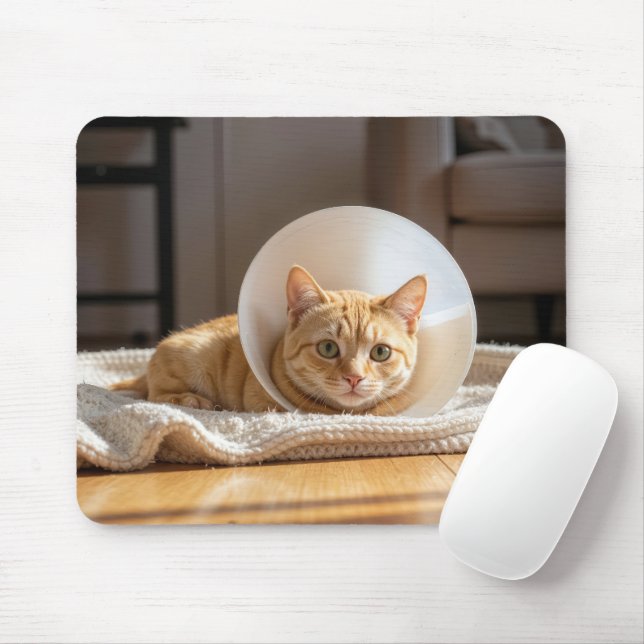 Ginger Cat Wearing a Cone of Shame Mousepad (Mit Mouse)