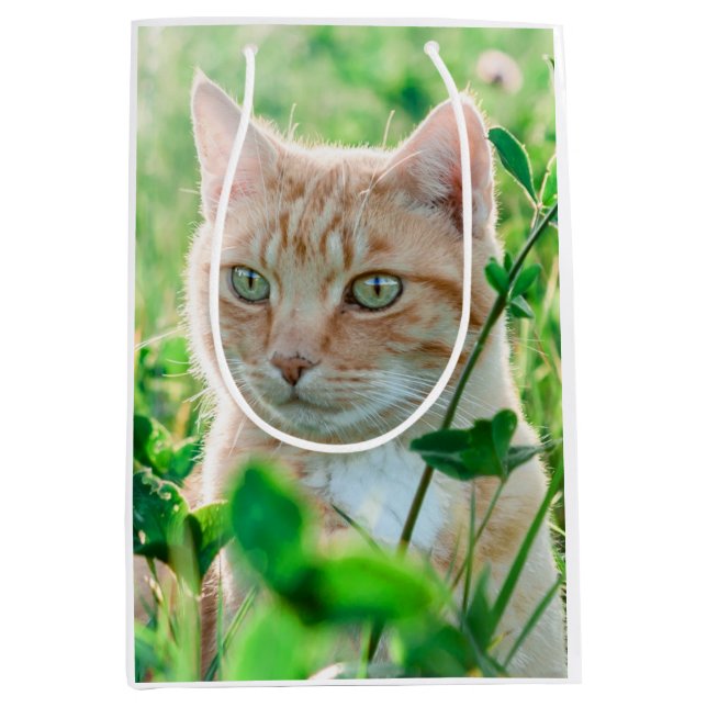 Ginger Cat with Green Eyes in Grass Mittlere Geschenktüte (Vorderseite)