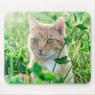 Ginger Cat with Green Eyes in Grass Mousepad