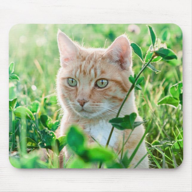 Ginger Cat with Green Eyes in Grass Mousepad (Vorne)