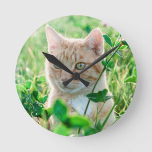 Ginger Cat with Green Eyes in Grass Runde Wanduhr