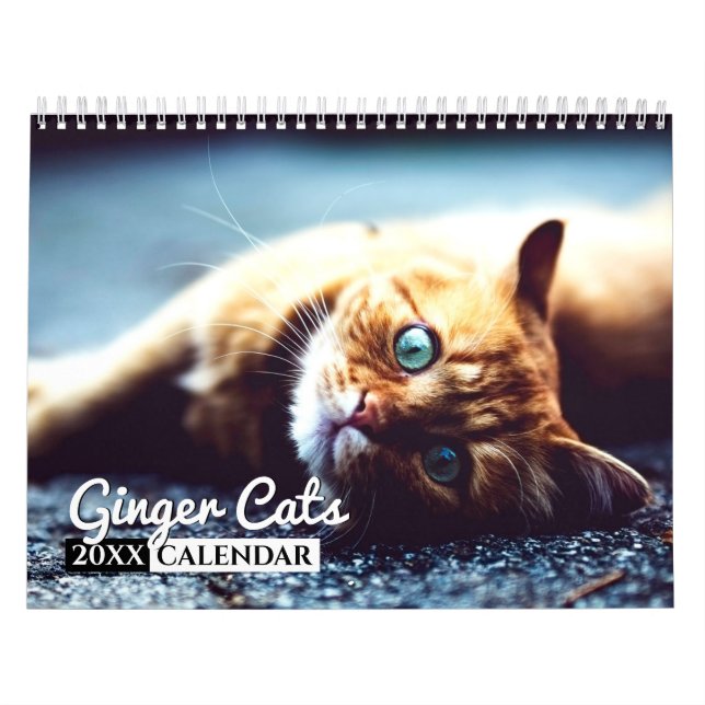 Ginger Cats Foto Wall Calendar Kalender (Titelbild)