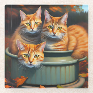 Ginger Cats Pot Pflanze, Glass Untersetzer