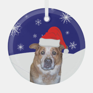 Ginger Dog in Weihnachtsmannmütze mit Snowy Hills Ornament Aus Glas