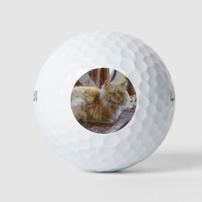 Ginger George Golfball (Vorderseite)