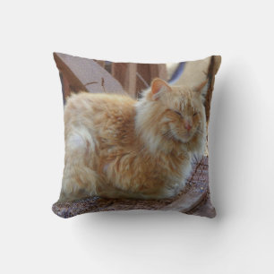 Ginger George Kissen