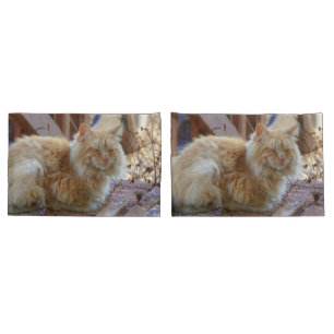 Ginger George Kissenbezug