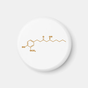 Ginger Gingerol Molecule Chemische Formel Magnet