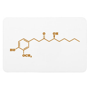 Ginger Gingerol Molecule Chemische Formel Magnet